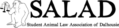 Animals as Legal Persons?